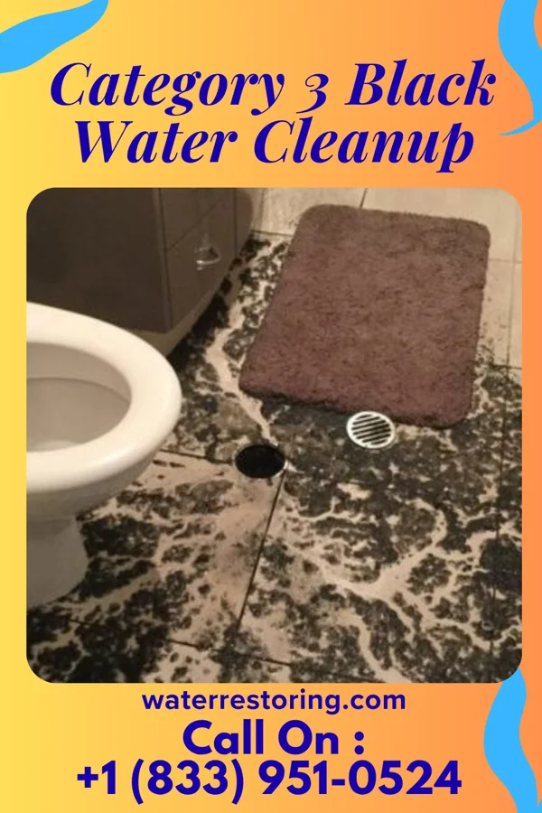 Category 3 Black Water Cleanup in Waterford, WI