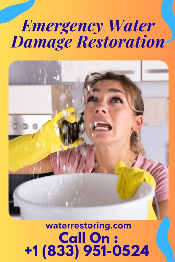 Emergency Water Damage Restoration in Waterford, WI