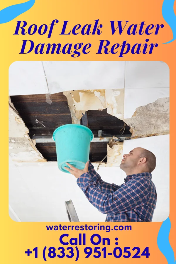 Roof Leak Water Damage Repair in Waterford, WI