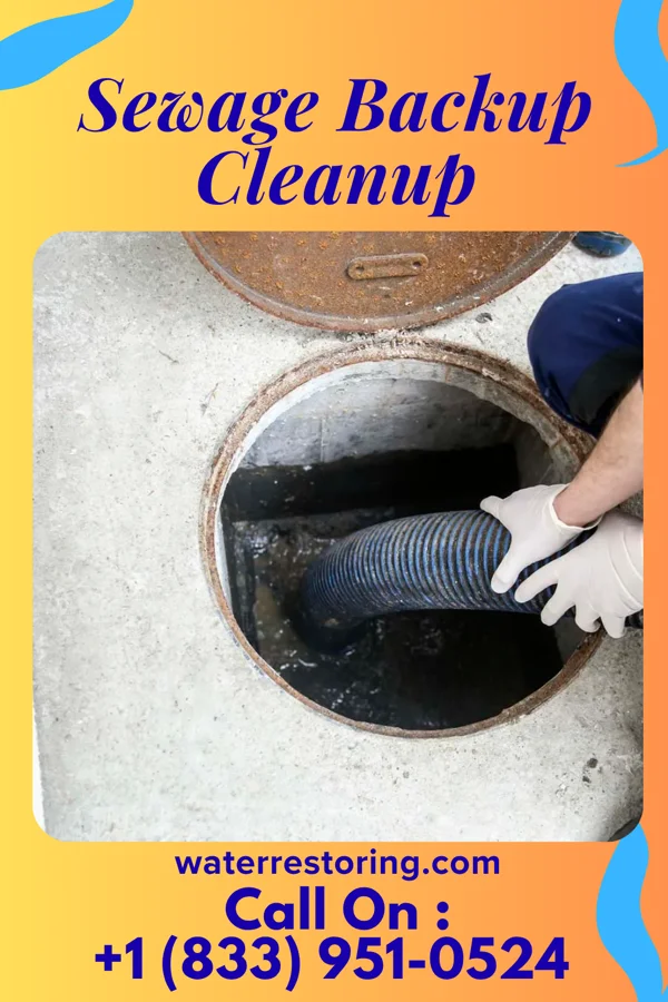 Sewage Backup Cleanup in Waterford, WI
