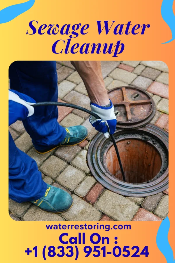 Sewage Water Cleanup in Waterford, WI